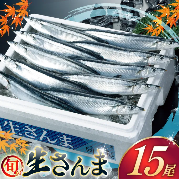 【期間限定発送】 生 さんま 15尾 [阿部長商店 宮城県 気仙沼市 20566342] 魚 サンマ 秋刀魚 生鮮 鮮魚 季節限定
