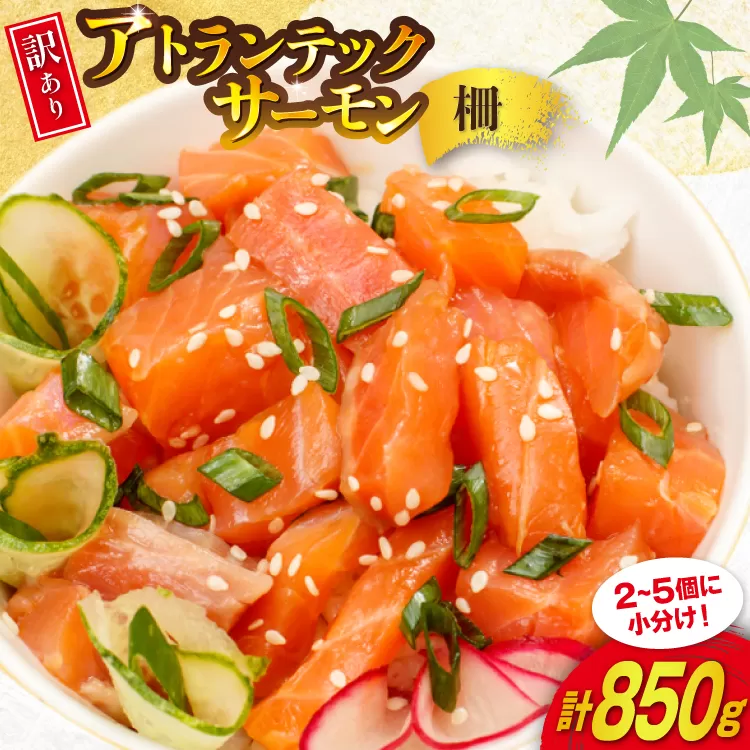 訳あり ノルウェー産 アトランティック サーモン 尾っぽ 850g 柵 おさしみ用 無添加 個包装 [足利本店 宮城県 気仙沼市 20565613] 鮭 さけ サケ サーモン 生食用 おつまみ おかず 冷凍 鮮魚 小分け アトランティックサーモン アトランサーモン