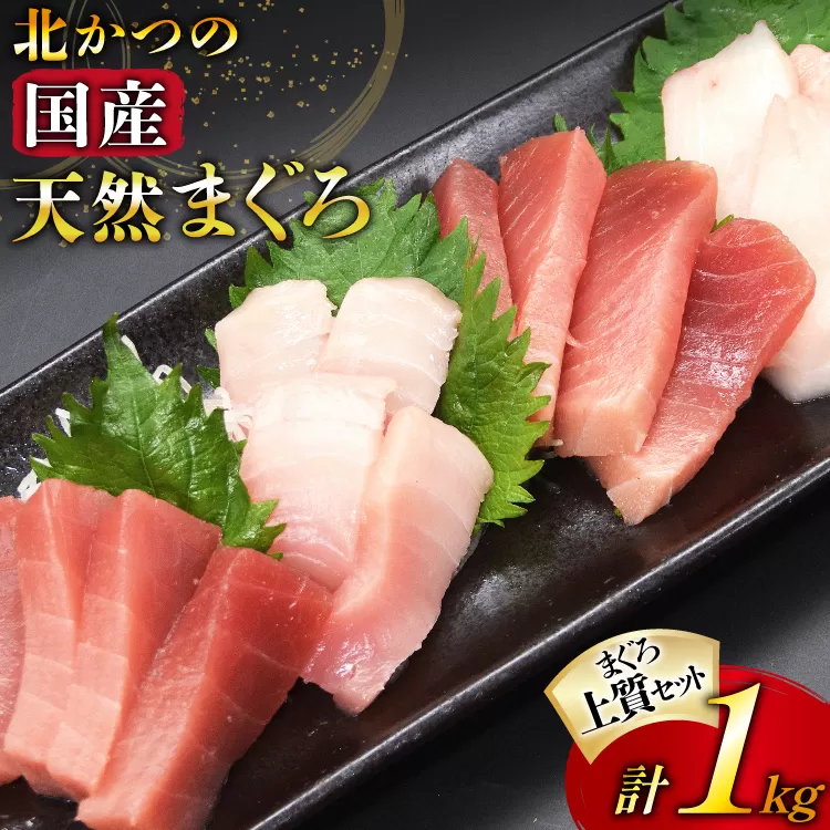 北かつのマグロ上質セット (マグロ中トロ 200g マグロ上質赤身 200g×2 メカジキ 200g びんちょう 200g）合計1kg [北かつ商事 宮城県 気仙沼市 20563511] 魚 鮪 マグロ 中トロ まぐろ 赤身 刺身 魚介 メカジキ 冷凍 