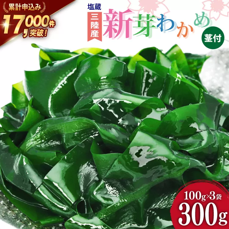 【漁師さんからのおすそわけ】新芽わかめ 300g(約100g×3袋) [かわむら家 宮城県 気仙沼市 20564375] わかめ ワカメ 若芽 海藻 国産 三陸 味噌汁 小分け 三陸わかめ