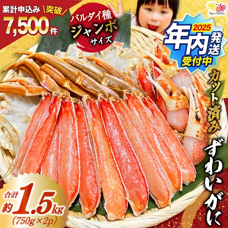 【12/25まで年内発送】 カット済 ずわいがに むき身セット 総重量1.5kg(750g×2p) かにしゃぶ かに鍋 正味重量1.2kg [カネダイ 宮城県 気仙沼市 20564319] かに カニ ずわいがに ずわい 蟹 棒 魚介 海鮮 ポーション
