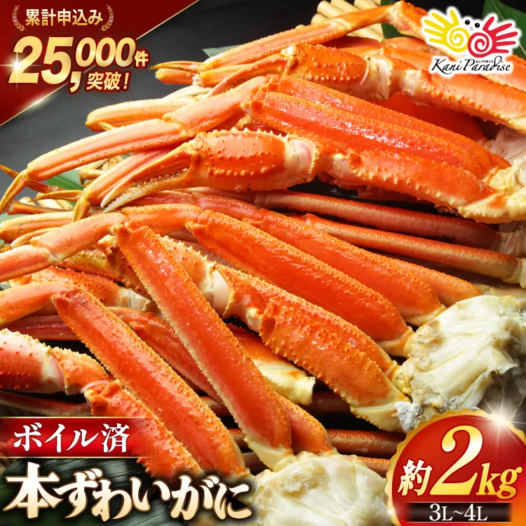 ボイル済み 本ずわいがに 脚 3L〜4L 総重量 2kg [カネダイ 宮城県 気仙沼市 20564764] カニ 蟹 ズワイガニ ずわい蟹 ズワイ蟹 ずわい ズワイ 海鮮 魚介類 カニ脚 蟹脚 足 ボイル ご褒美