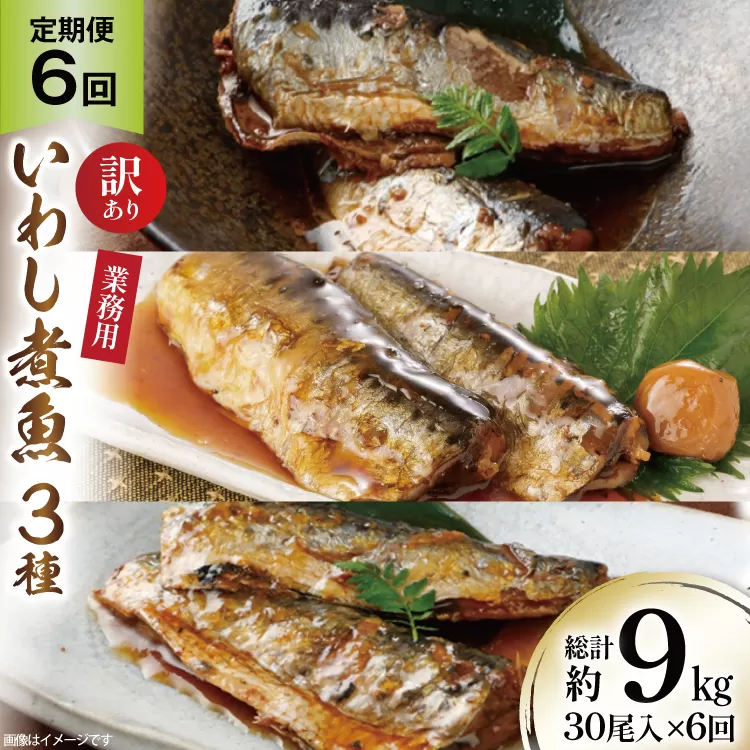6回 定期便 訳あり 業務用 いわし煮魚 3種 ×10尾 計30尾入 約1.5kg ×6回 総重量 約9kg [カネダイ 宮城県 気仙沼市 20565564] 魚 魚介 煮魚 国産 生姜煮 梅肉煮 みぞれ煮 おかず 焼き魚 簡単 時短 訳アリ 冷凍