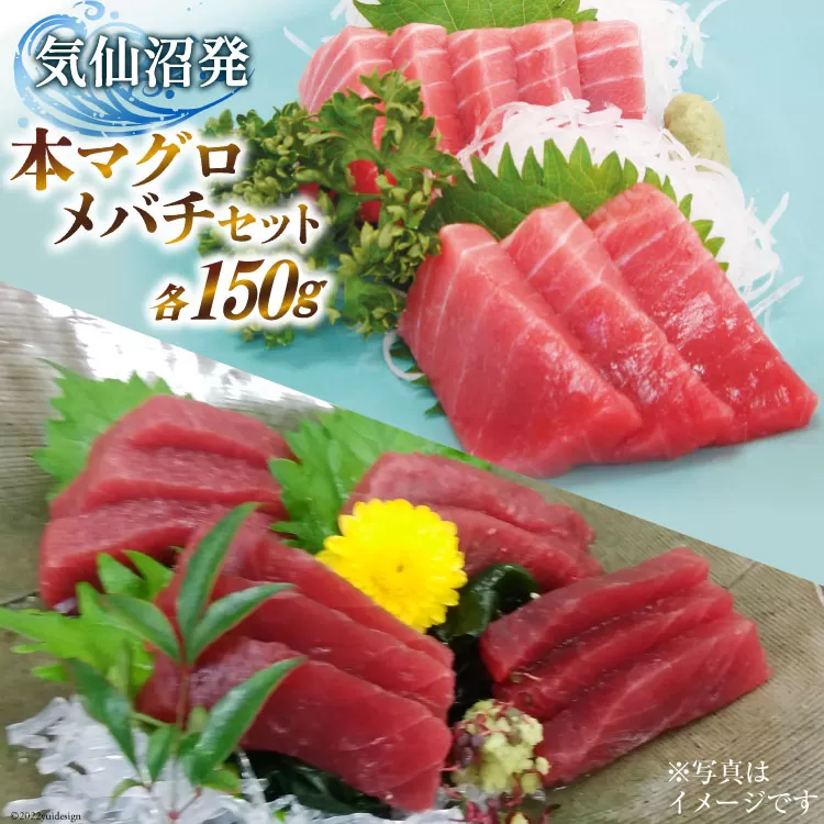 本マグロ・メバチセット [川印　村田漁業 宮城県 気仙沼市 20563739]魚 海鮮 魚介 まぐろ 鮪 メバチマグロ 刺身 本マグロ