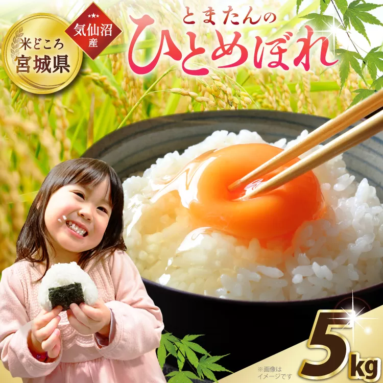 米 令和7年産 宮城県産 とまたんのひとめぼれ 5kg [サンフレッシュ小泉農園 宮城県 気仙沼市 20565646] ひとめぼれ ブランド米 白米 精米 ご飯 ごはん コメ こめ お米 小分け 家庭用