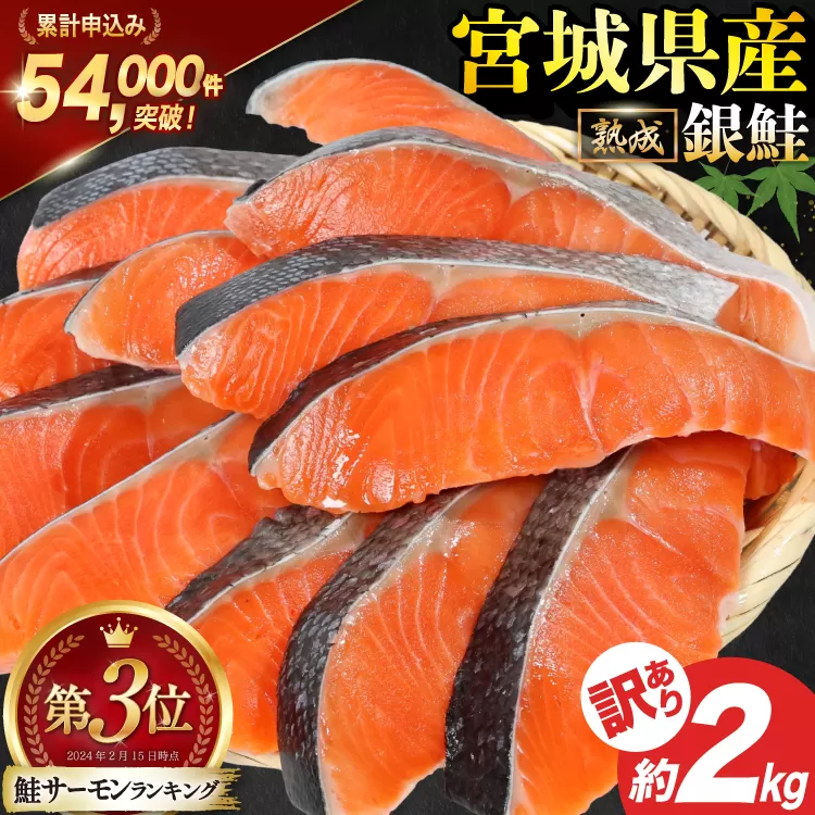 訳あり 宮城県産 熟成 銀鮭 切身 約2kg [宮城東洋 宮城県 気仙沼市 20563343] 鮭 海鮮 魚介類 国産 さけ 鮭 甘口 サケ 鮭切身 シャケ 切り身 冷凍 おかず 弁当 支援 事業者支援 サーモン 魚 銀鮭切り身