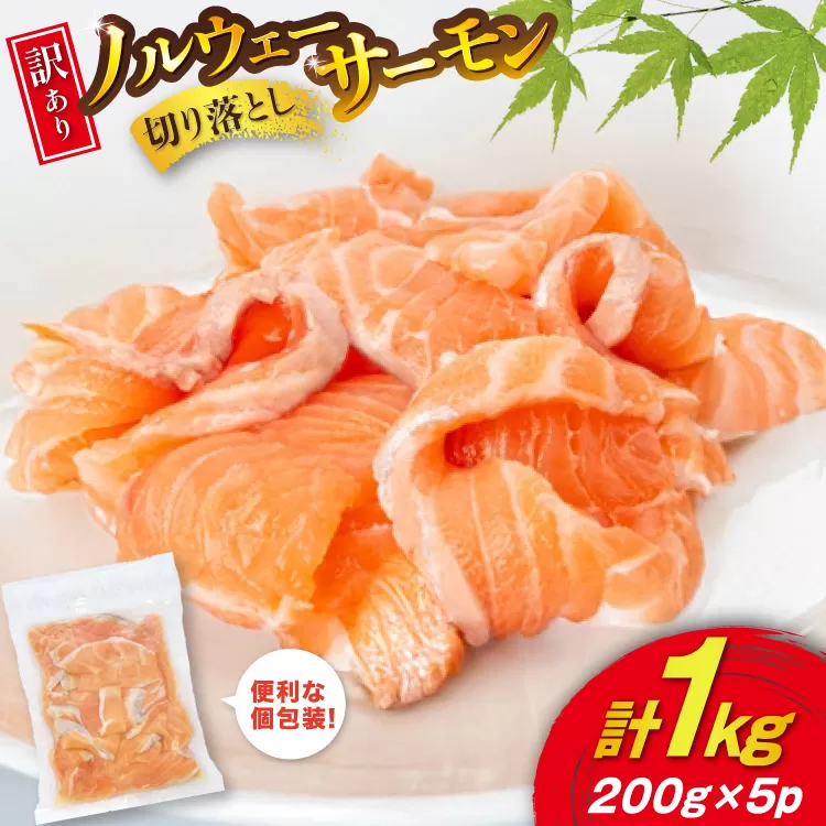 訳あり 無添加 ノルウェー産 アトランティックサーモン 切り落とし おさしみ用 1kg 200g ×5p [足利本店 宮城県 気仙沼市 20565179] サーモン さけ サケ 魚介類 鮭 尾っぽ はしっこ お刺し身 刺し身 刺身 個包装 海鮮 魚介 魚 小分け 冷凍 真空包装 ノルウェー