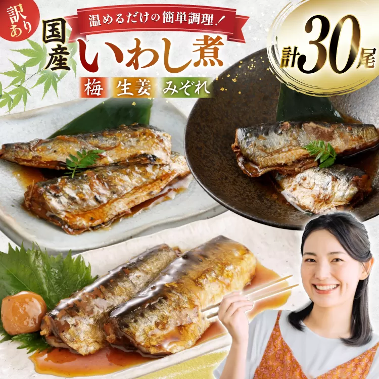 訳あり 業務用 いわし煮魚 3種 ×10尾 計30尾入 約1.5kg 簡易包装 [カネダイ 宮城県 気仙沼市 20565562] 魚 魚介 煮魚 国産 生姜煮 梅肉煮 みぞれ煮 おかず 焼き魚 簡単 時短 訳アリ 冷凍