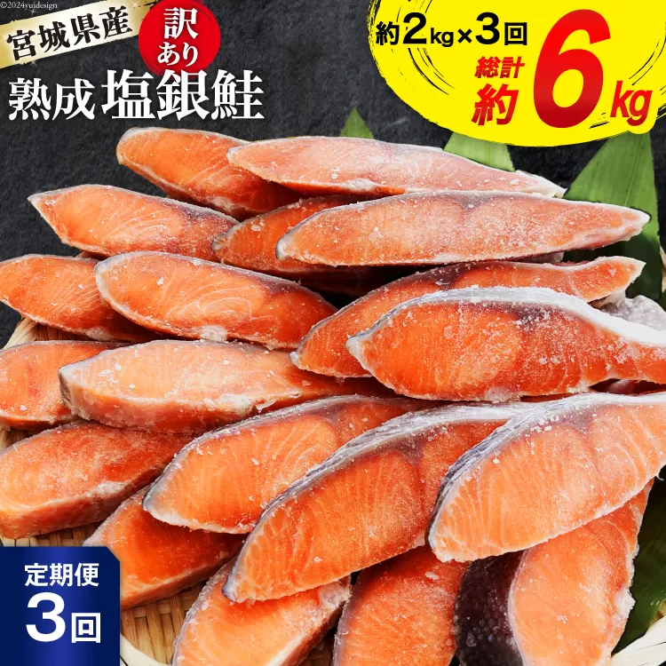 定期便 《3ヶ月連続お届け》 訳あり 宮城県産 熟成 銀鮭 切身 約2kg×3回 計6kg [宮城東洋 宮城県 気仙沼市 20564500] 魚 鮭 海鮮 国産 さけ 鮭 甘口 サケ 鮭切身 シャケ 切り身 冷凍 おかず 弁当 支援 事業者支援 サーモン