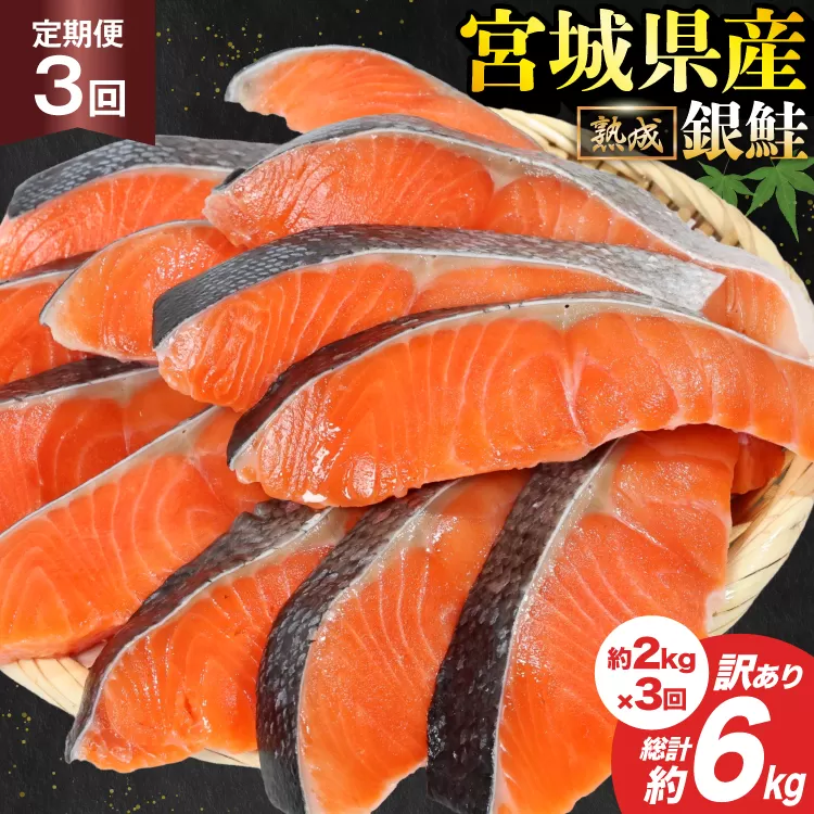 定期便 《3ヶ月連続お届け》 訳あり 宮城県産 熟成 銀鮭 切身 約2kg×3回 計6kg [宮城東洋 宮城県 気仙沼市 20564500] 魚 鮭 海鮮 国産 さけ 鮭 甘口 サケ 鮭切身 シャケ 切り身 冷凍 おかず 弁当 支援 事業者支援 サーモン
