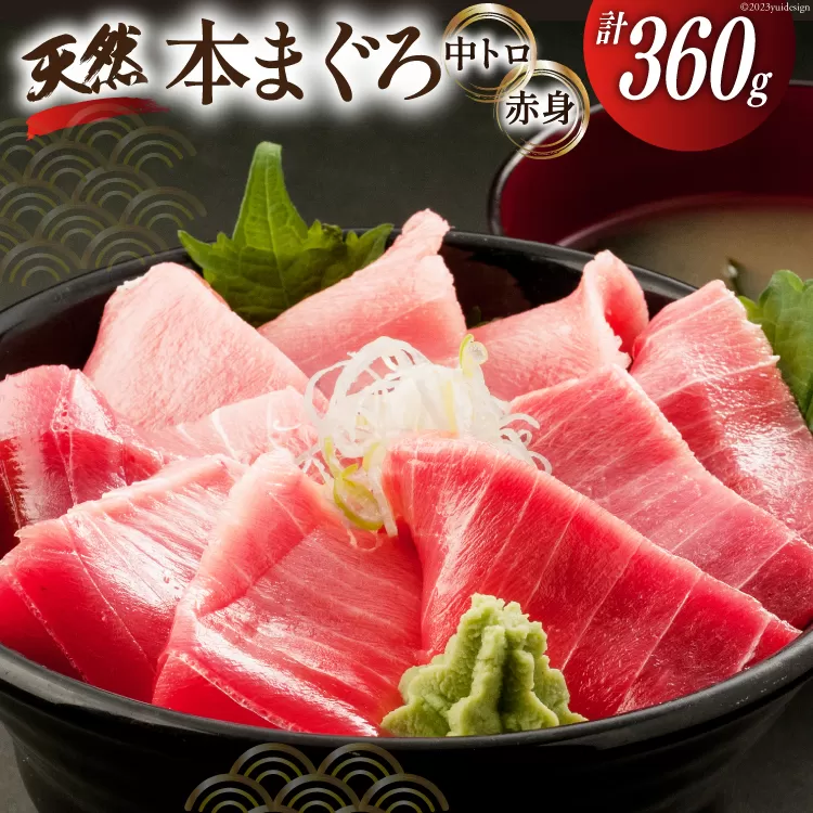昭福丸の天然本まぐろ (中トロ･赤身) 各180g 計360g [臼福本店 宮城県 気仙沼市 20563782] 魚 鮮魚 刺身 トロ 天然本マグロ マグロ まぐろ 鮪 本まぐろ 本マグロ 本鮪 冷凍