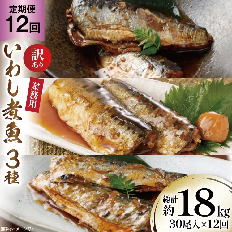 12回 定期便 訳あり 業務用 いわし煮魚 3種 ×10尾 計30尾入 約1.5kg ×12回 総重量 約18kg [カネダイ 宮城県 気仙沼市 20565565] 魚 魚介 煮魚 国産 生姜煮 梅肉煮 みぞれ煮 おかず 焼き魚 簡単 時短 訳アリ 冷凍