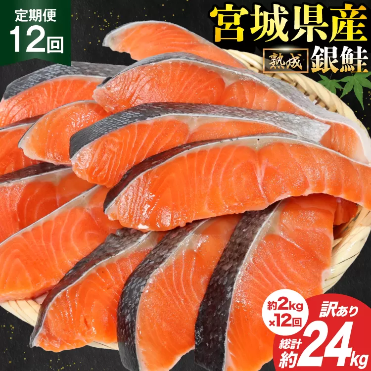 定期便 《12ヶ月連続お届け》 訳あり 宮城県産 熟成 銀鮭 切身 約2kg×12回 計24kg [宮城東洋 宮城県 気仙沼市 20564498] 魚 鮭 海鮮 国産 さけ 鮭 甘口 サケ 鮭切身 シャケ 切り身 冷凍 おかず 弁当 支援 事業者支援 サーモン