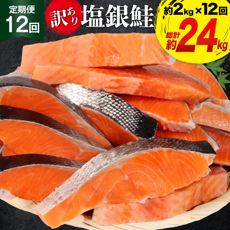 定期便 《12ヶ月連続お届け》 訳あり 銀鮭 切身 約2kg×12回 計24kg [宮城東洋 宮城県 気仙沼市 20564464] 鮭 海鮮 規格外 不揃い さけ サケ 鮭切身 シャケ 切り身 冷凍 家庭用 訳アリ おかず 弁当 支援 事業者支援