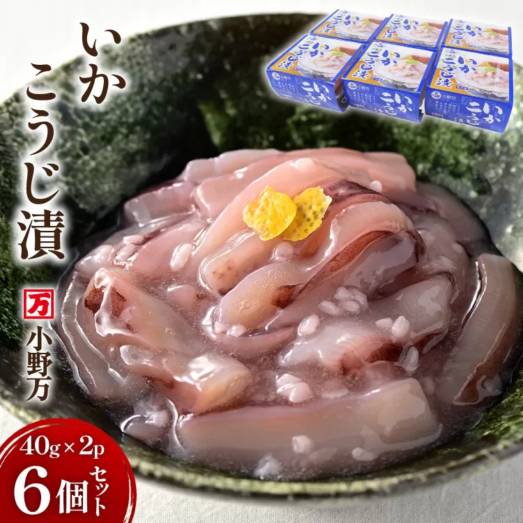 いかこうじ漬 40g×2P 6個セット [小野万 宮城県 気仙沼市 20565720] 魚 魚介類 いか イカ 塩辛 イカ塩辛 麹漬け こうじ漬け 小分け 食べきりサイズ 酒の肴 おつまみ ご飯のお供 冷蔵