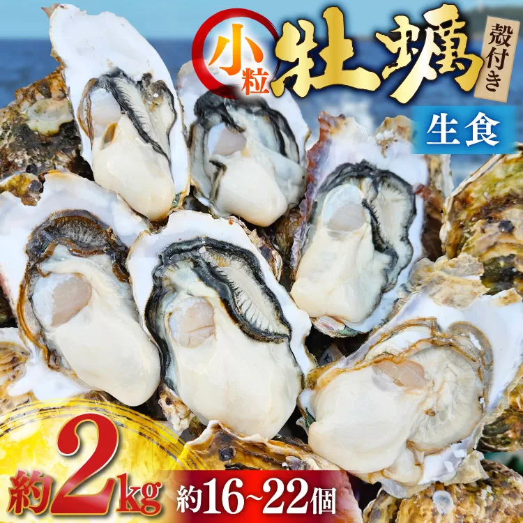 【期間限定発送】 牡蠣 小粒 1〜1年半モノ 生食 殻付き牡蠣 約2kg (約16〜22個入) [住喜水産 宮城県 気仙沼市 20565055] 冷蔵 新鮮 濃厚 真牡蠣 カキ かき 生牡蠣 魚貝類 貝 海鮮 魚介類 なべ カキフライ 牡蠣ご飯 魚介