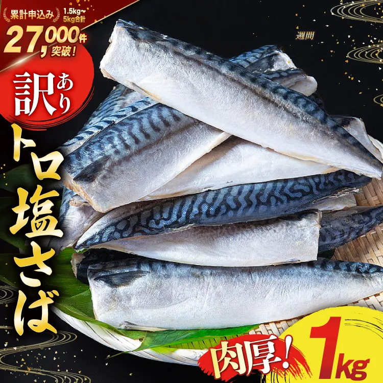 訳あり 塩サバ フィレ 1kg [足利本店 宮城県 気仙沼市 20565942] 魚介類 魚 海鮮 大容量 サバ さば 鯖 サバフィレ サバフィーレ 鯖フィレ 切り身 冷凍 訳アリ 訳あり わけあり トロサバ 減塩 とろさば