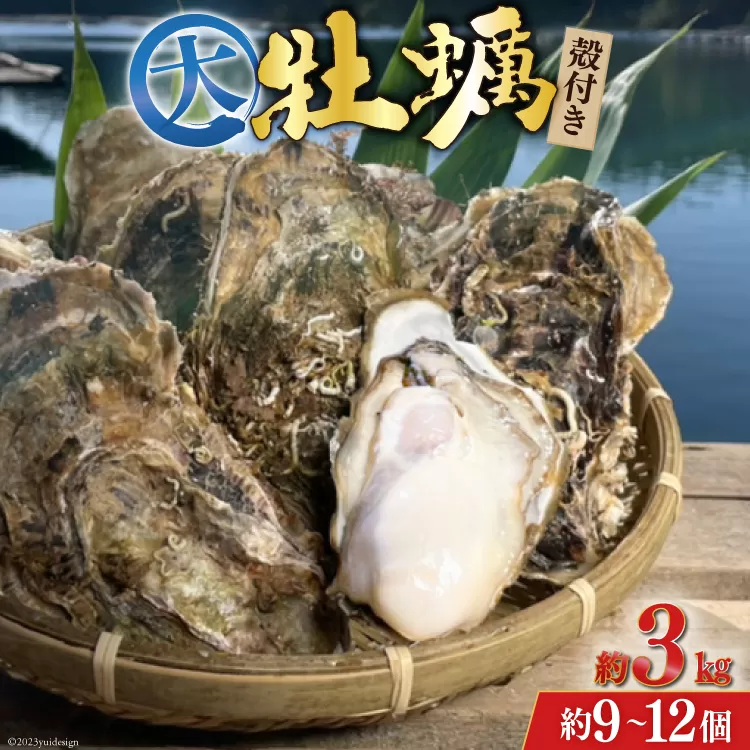 【期間限定発送】 TVで紹介！ 牡蠣 大粒 3〜4年モノ 生食 殻付き牡蠣 約3kg(約9-12個入) [住喜水産 宮城県 気仙沼市 20564160] 期間限定 冷蔵 新鮮 濃厚 真牡蠣 カキ かき 生牡蠣 魚貝類 生牡蠣 貝 海鮮 魚介類 なべ カキフライ 牡蠣ご飯 魚介
