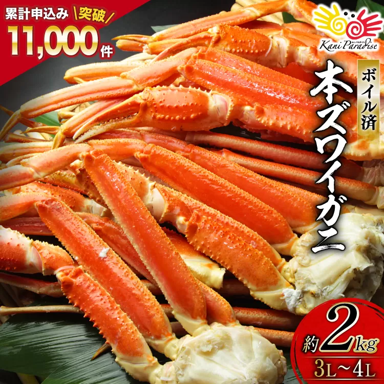 ボイル済み 本ずわいがに 脚 3L～4L 総重量 2kg [カネダイ 宮城県 気仙沼市 20564764] カニ 蟹 ズワイガニ ずわい蟹 ズワイ蟹 ずわい ズワイ 海鮮 魚介類 カニ脚 蟹脚 足 ボイル ご褒美