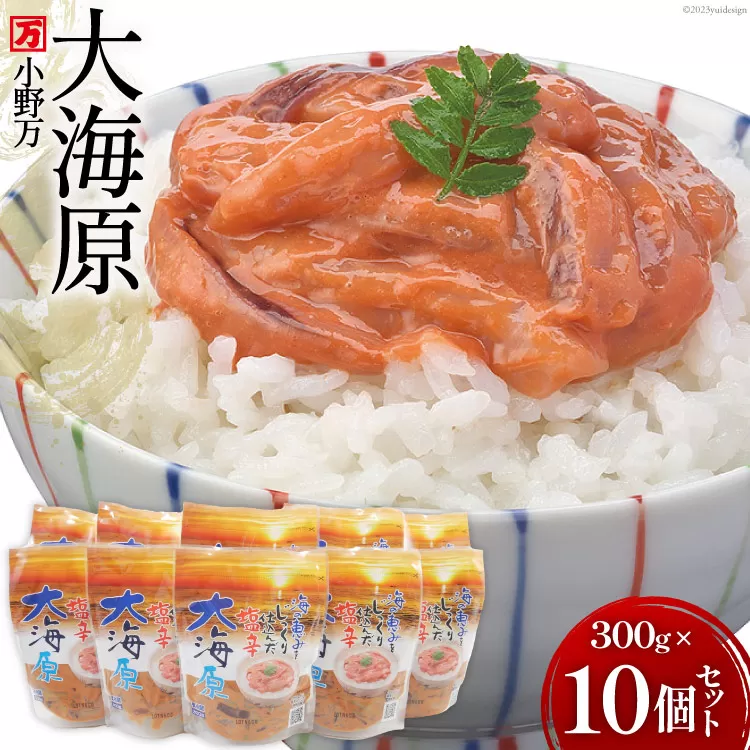 海の恵みをじっくり仕込んだ塩辛 大海原 300g 10個セット [小野万 宮城県 気仙沼市 20565161] 魚介類 いか イカ 塩辛 いか塩辛 イカ塩辛 冷蔵 酒の肴 おつまみ ご飯のお供