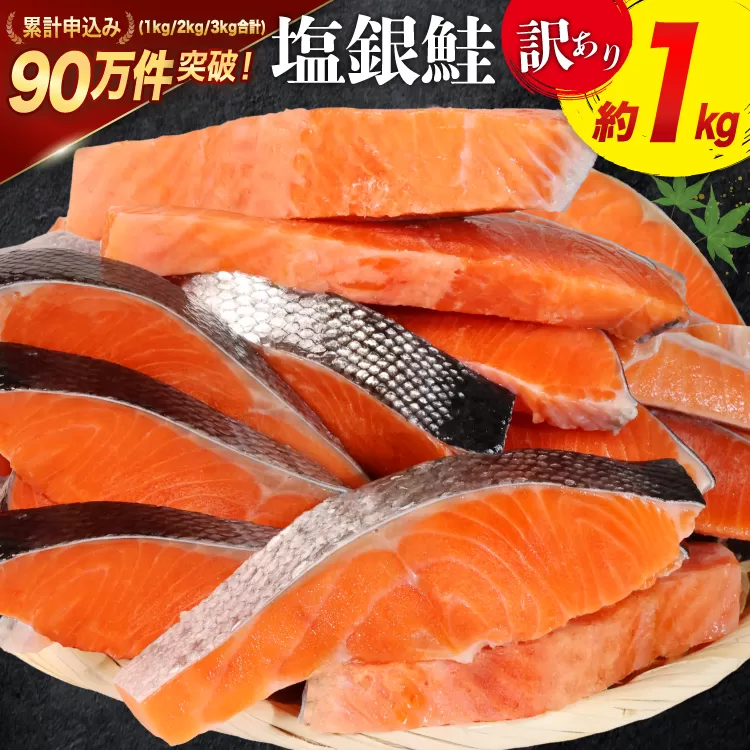 訳あり 銀鮭 切身 約1kg [宮城東洋 宮城県 気仙沼市 20564663] 鮭 海鮮 規格外 不揃い さけ サケ 鮭切身 シャケ 切り身 冷凍 家庭用 訳アリ おかず 弁当 支援 サーモン 銀鮭切り身 魚 わけあり