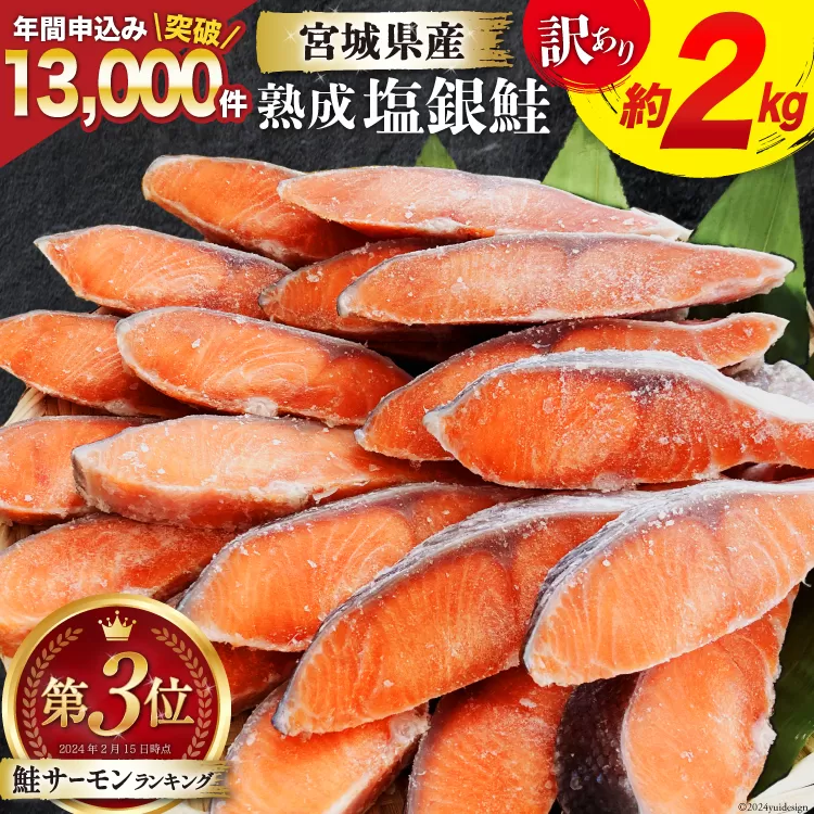 訳あり 宮城県産 熟成 銀鮭 切身 約2kg [宮城東洋 宮城県 気仙沼市 20563343] 鮭 海鮮 魚介類 国産 さけ 鮭 甘口 サケ 鮭切身 シャケ 切り身 冷凍 おかず 弁当 支援 事業者支援 サーモン 魚 銀鮭切り身