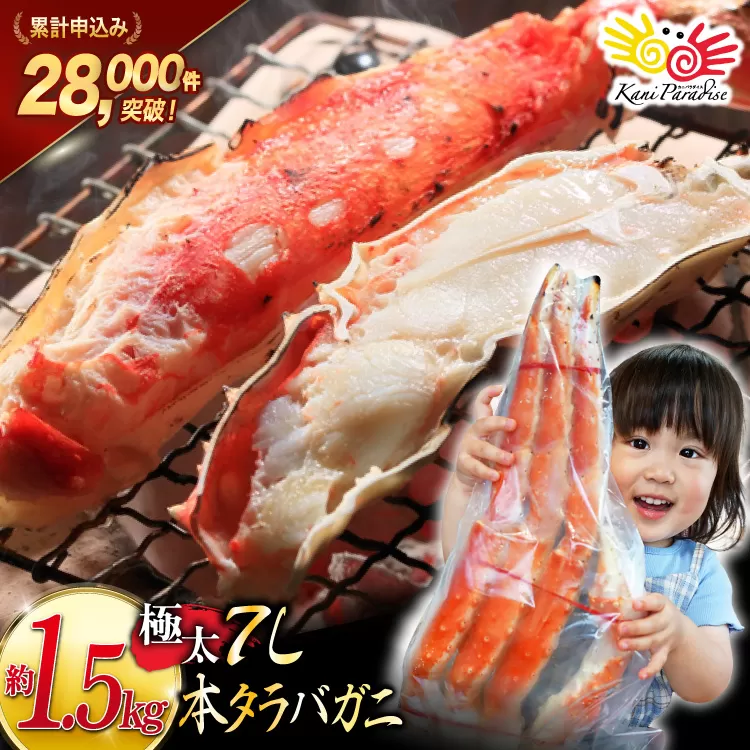 本 タラバガニ 脚 ボイル済 約1.5kg 極太7Lサイズ [カネダイ 宮城県 気仙沼市 20564326] カニ かに 蟹 たらばがに たらば蟹 タラバ蟹 たらば タラバ ボイル