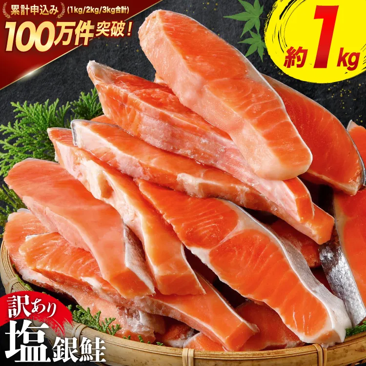 訳あり 銀鮭 切身 約1kg [宮城東洋 宮城県 気仙沼市 20564663] 鮭 海鮮 規格外 不揃い さけ サケ 鮭切身 シャケ 切り身 冷凍 家庭用 訳アリ おかず 弁当 支援 サーモン 銀鮭切り身 魚 わけあり