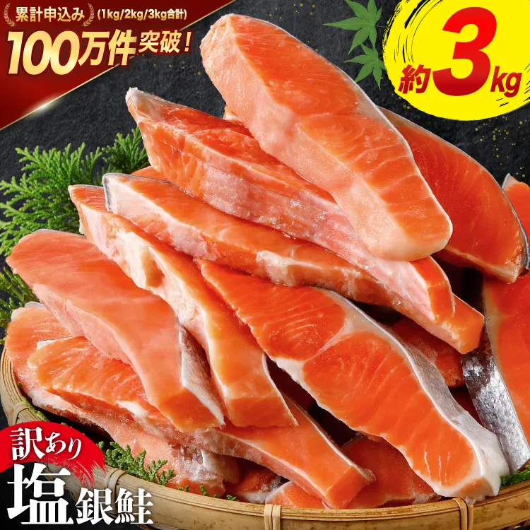 訳あり 銀鮭 切身 約3kg [宮城東洋 宮城県 気仙沼市 20564992] 鮭 魚介類 海鮮 訳アリ 規格外 不揃い さけ サケ 鮭切身 シャケ 切り身 冷凍 家庭用 おかず 弁当 支援 サーモン 銀鮭切り身 魚 わけあり