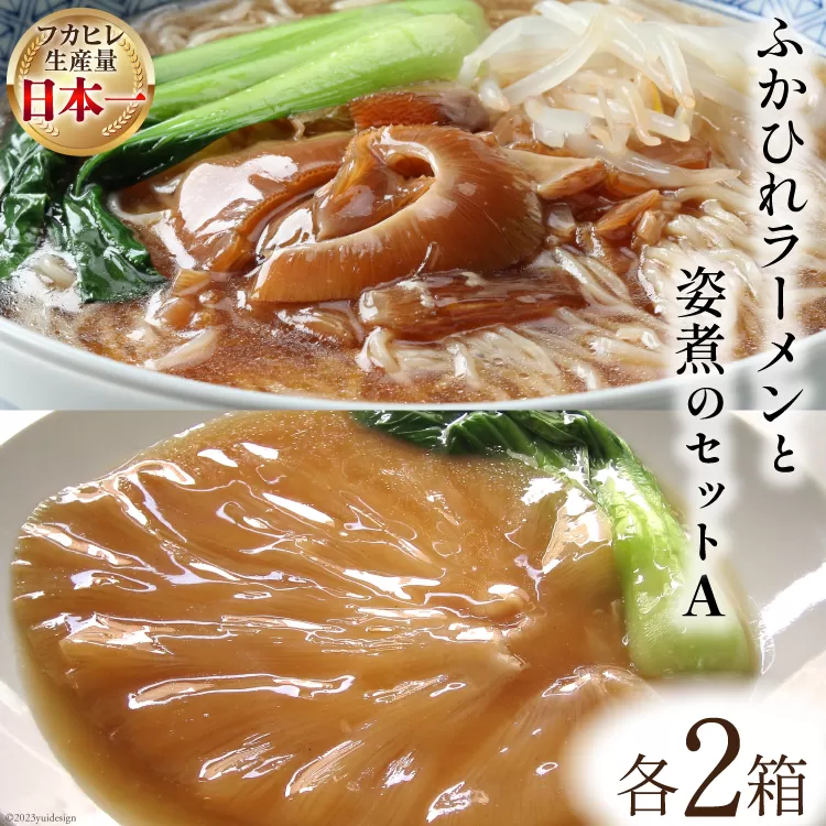 コラーゲン3900mg ふかひれラーメンと姿煮のセットＡ [中華高橋水産 宮城県 気仙沼市 20563465] 鱶鰭 ふかひれ フカヒレ 姿煮 ラーメン ふかひれラーメン コラーゲン 中華 高級 豪華 詰め合わせ