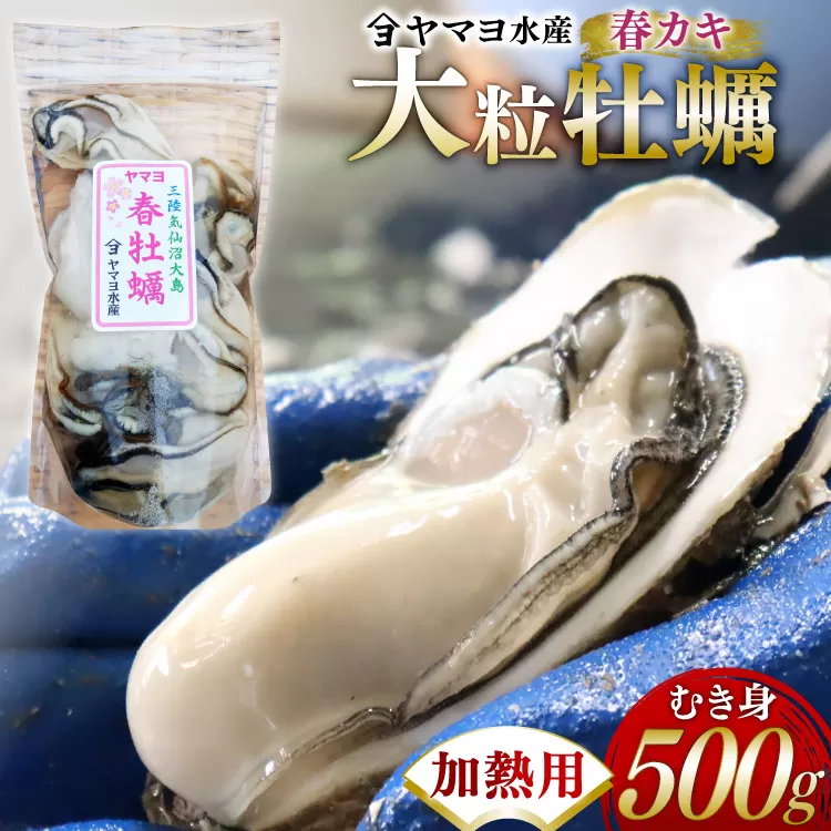 【期間限定発送】 ヤマヨ水産の牡蠣 加熱用 500g 《5月前半〜出荷》 [気仙沼市物産振興協会 宮城県 気仙沼市 20565983] 魚介類 海鮮 牡蠣 春 かき 春牡蠣 春かき 期間限定 冷蔵 加熱