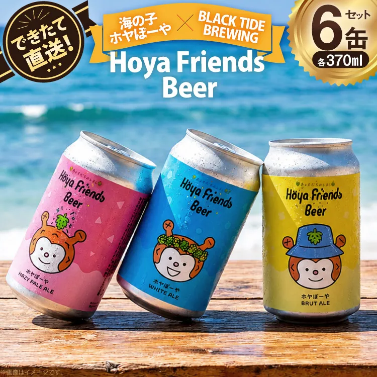ビール Hoya Friends Beer 3液種 370ml缶 計6本 セット [BLACKTIDEBREWING合同会社 宮城県 気仙沼市 20566095] 酒 びーる クラフトビール お酒 地ビール ご当地ビール 詰め合わせ