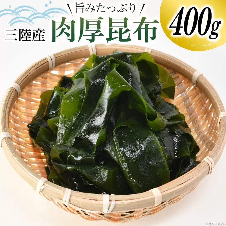 三陸産 肉厚 昆布 400g [川村海産 宮城県 気仙沼市 20564661] 海産物 コンブ 佃煮 煮物 おやつ おつまみ おでん 煮物 煮しめ 出汁 海藻 魚介類 常温