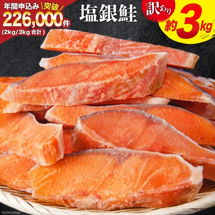 訳あり 銀鮭 切身 約3kg [宮城東洋 宮城県 気仙沼市 20562581] 鮭 海鮮 規格外 不揃い さけ サケ 鮭切身 シャケ 切り身 冷凍 家庭用 訳アリ おかず 弁当 支援 事業者支援 サーモン 銀鮭切り身 魚