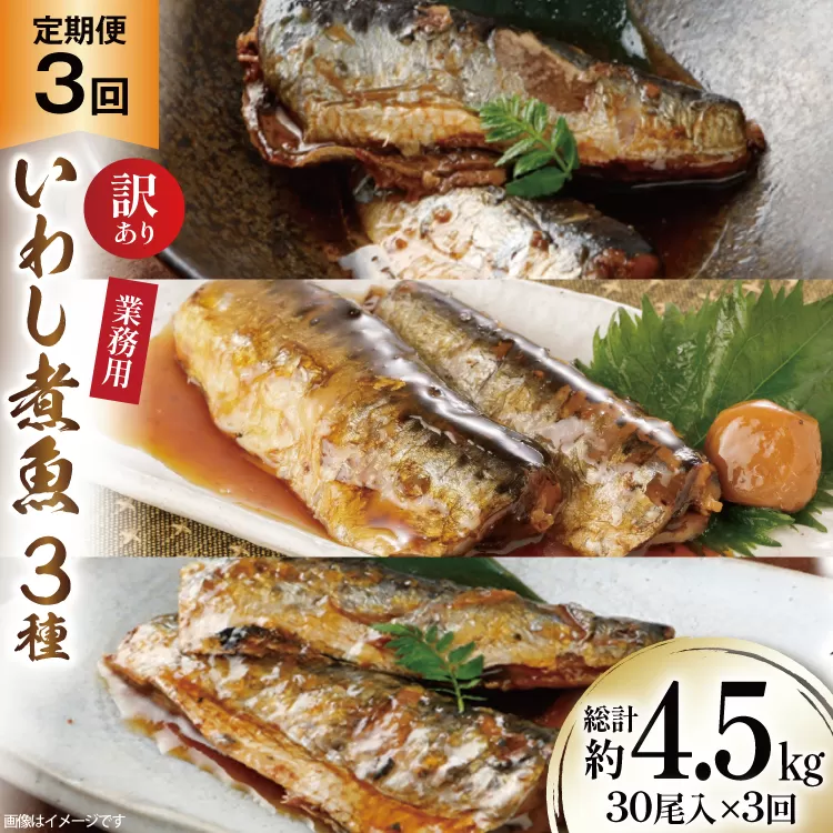 3回 定期便 訳あり 業務用 いわし煮魚 3種 ×10尾 計30尾入 約1.5kg ×3回 総重量 約4.5kg [カネダイ 宮城県 気仙沼市 20565563] 魚 魚介 煮魚 国産 生姜煮 梅肉煮 みぞれ煮 おかず 焼き魚 簡単 時短 訳アリ 冷凍