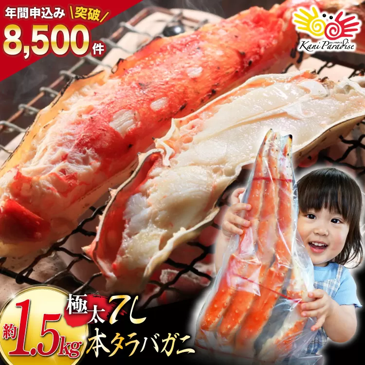 本 タラバガニ 脚 ボイル済 約1.5kg 極太7Lサイズ [カネダイ 宮城県 気仙沼市 20564326] カニ かに 蟹 たらばがに たらば蟹 タラバ蟹 たらば タラバ ボイル 
