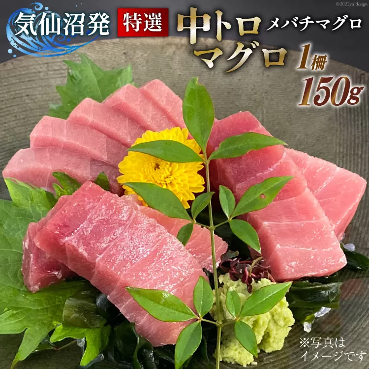 特撰 中トロマグロ（メバチマグロ）１柵 150g [川印　村田漁業 宮城県 気仙沼市 20563398] 魚介 魚 海鮮 まぐろ 鮪 マグロ メバチマグロ トロ とろ 中トロ 刺身