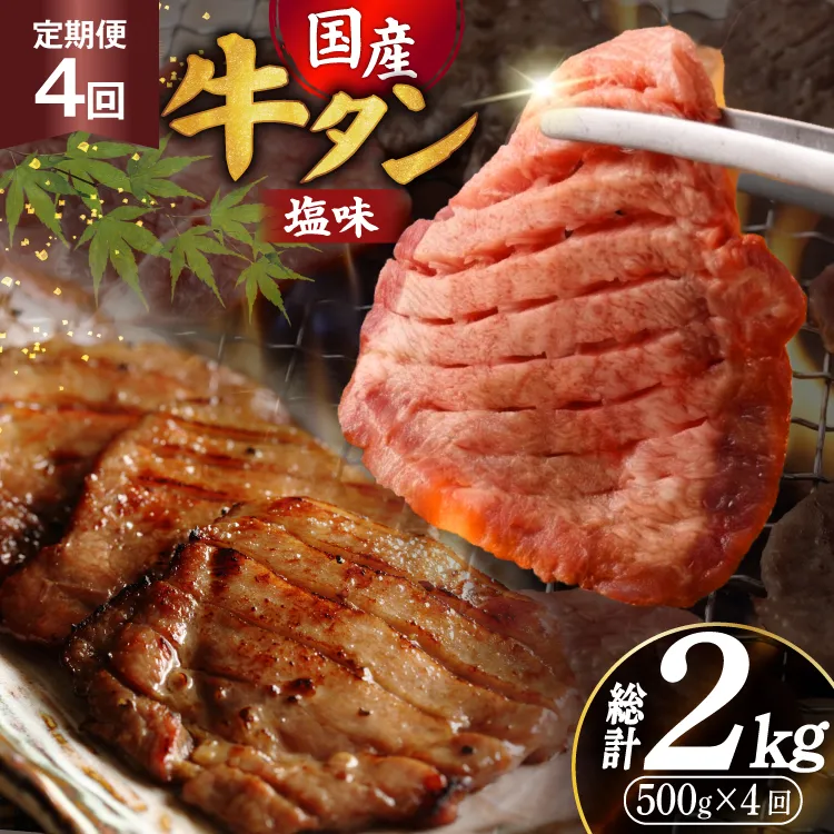 定期便 4回 牛タン 厚切り牛タン 希少部位 国産 塩味 500g 3〜4人前 [佐藤精肉店 宮城県 気仙沼市 20566237] 牛タン 肉 牛肉 精肉 牛たん 牛タン塩 牛たん塩 冷凍 焼肉 牛タン BBQ 牛たん アウトドア バーベキュー 厚切り タン 牛たん ふるさと納税 ふるさと 返礼品