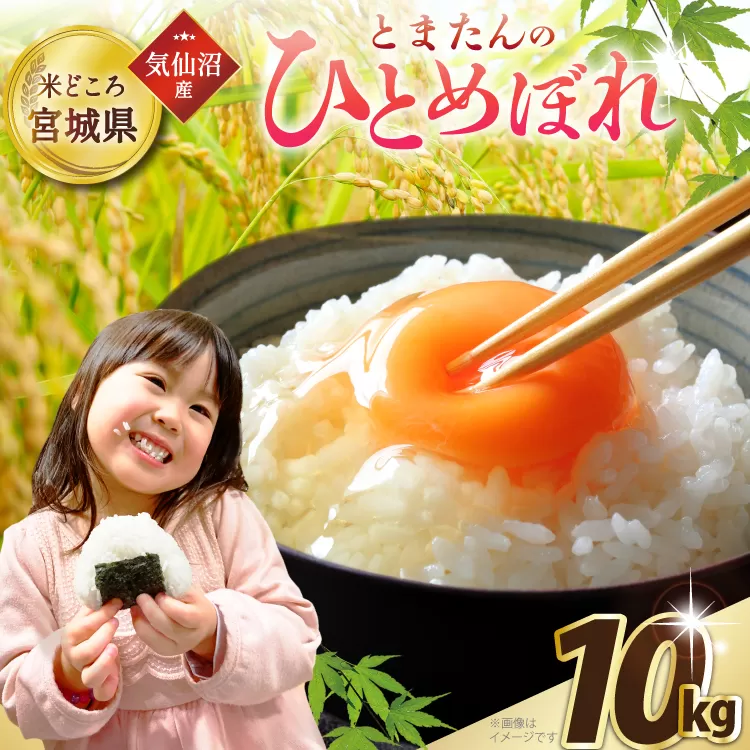 米 令和7年産 宮城県産 とまたんのひとめぼれ 10kg (5kg×2袋) [サンフレッシュ小泉農園 宮城県 気仙沼市 20565647] ひとめぼれ ブランド米 白米 精米 ご飯 ごはん コメ こめ お米 小分け 家庭用