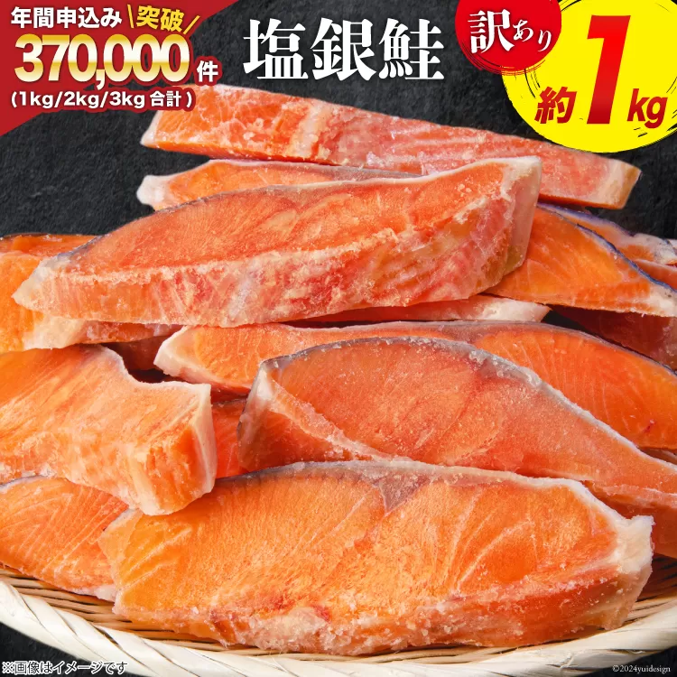 訳あり 銀鮭 切身 約1kg [宮城東洋 宮城県 気仙沼市 20564663] 鮭 海鮮 規格外 不揃い さけ サケ 鮭切身 シャケ 切り身 冷凍 家庭用 訳アリ おかず 弁当 支援 サーモン 銀鮭切り身 魚 わけあり