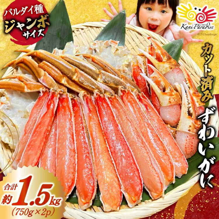 カット済 ずわいがに むき身セット 総重量1.5kg(750g×2p) かにしゃぶ かに鍋 正味重量1.2kg [カネダイ 宮城県 気仙沼市 20564319] かに カニ ずわいがに ずわい 蟹 棒 魚介 海鮮 ポーション