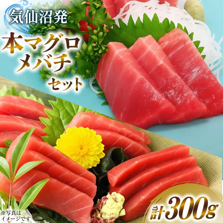 本マグロ・メバチセット [川印　村田漁業 宮城県 気仙沼市 20563739]魚 海鮮 魚介 まぐろ 鮪 メバチマグロ 刺身 本マグロ