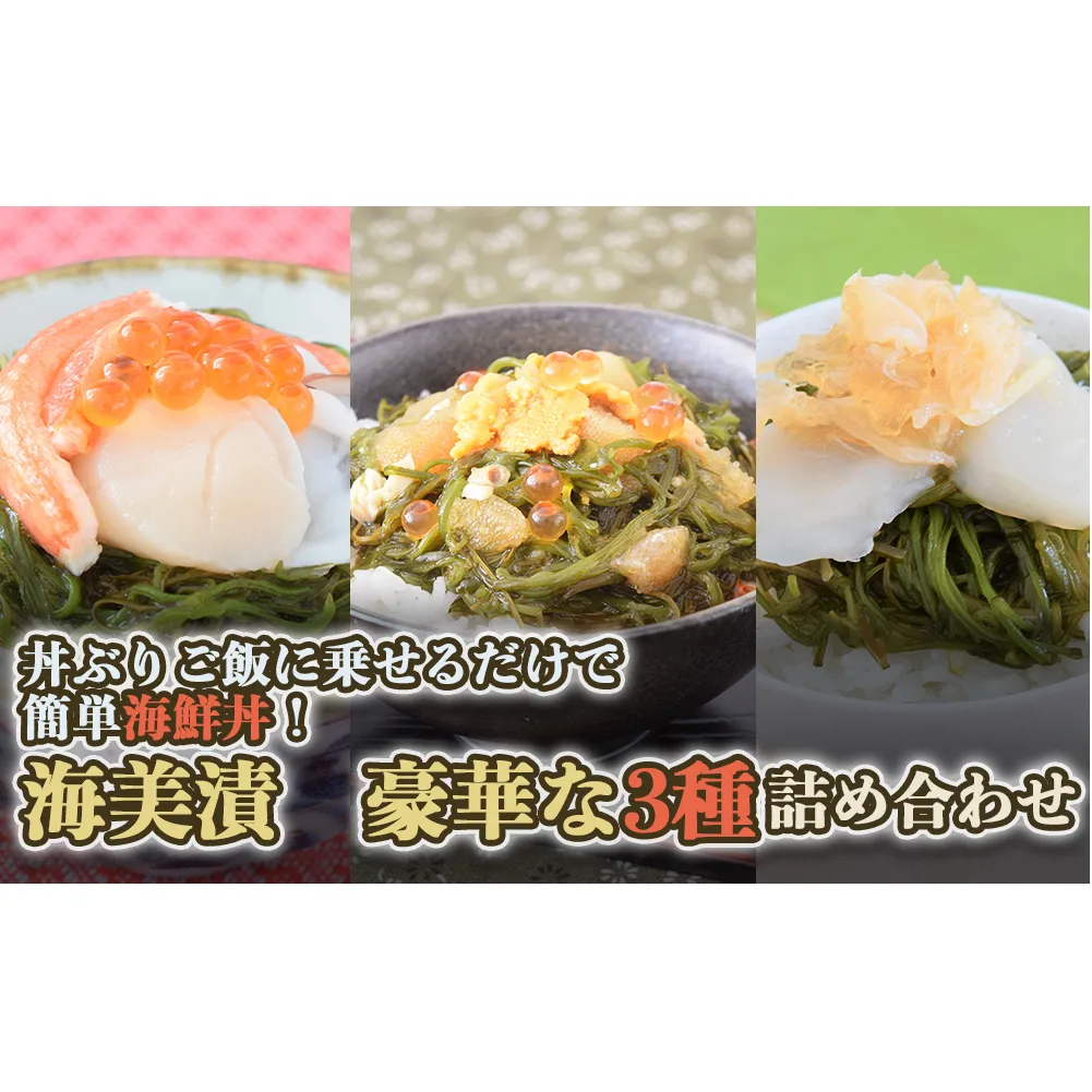 丼ぶりご飯に乗せるだけで 簡単 海鮮丼! 海美漬 豪華な 3種 詰合せ