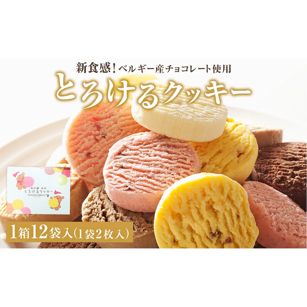 アルパジョン 新食感 ！ とろける クッキー 12袋入 ベルギー産 チョコレート 使用
