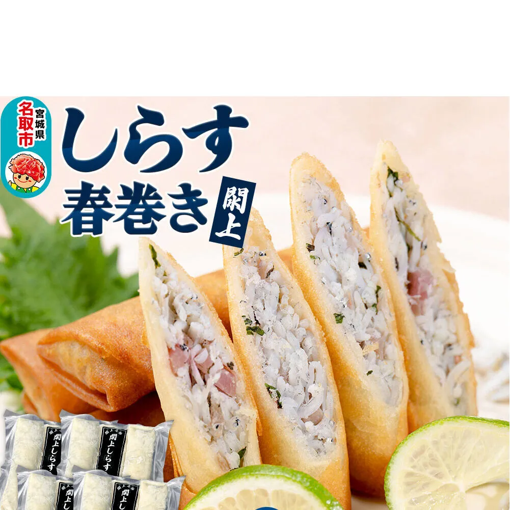 閖上（ゆりあげ） しらす 春巻き（生12本）冷凍 冷凍食品 惣菜 パリパリ おつまみ おかず お弁当 冷凍 中華惣菜 簡単 漁亭 浜や 宮城県 名取市 [春巻 春巻き しらす シラス 冷凍 冷凍食品 惣菜 パリパリ グルメ おつまみ おかず お弁当 冷凍 中華惣菜 簡単 漁亭 浜や 宮城県 名取市]