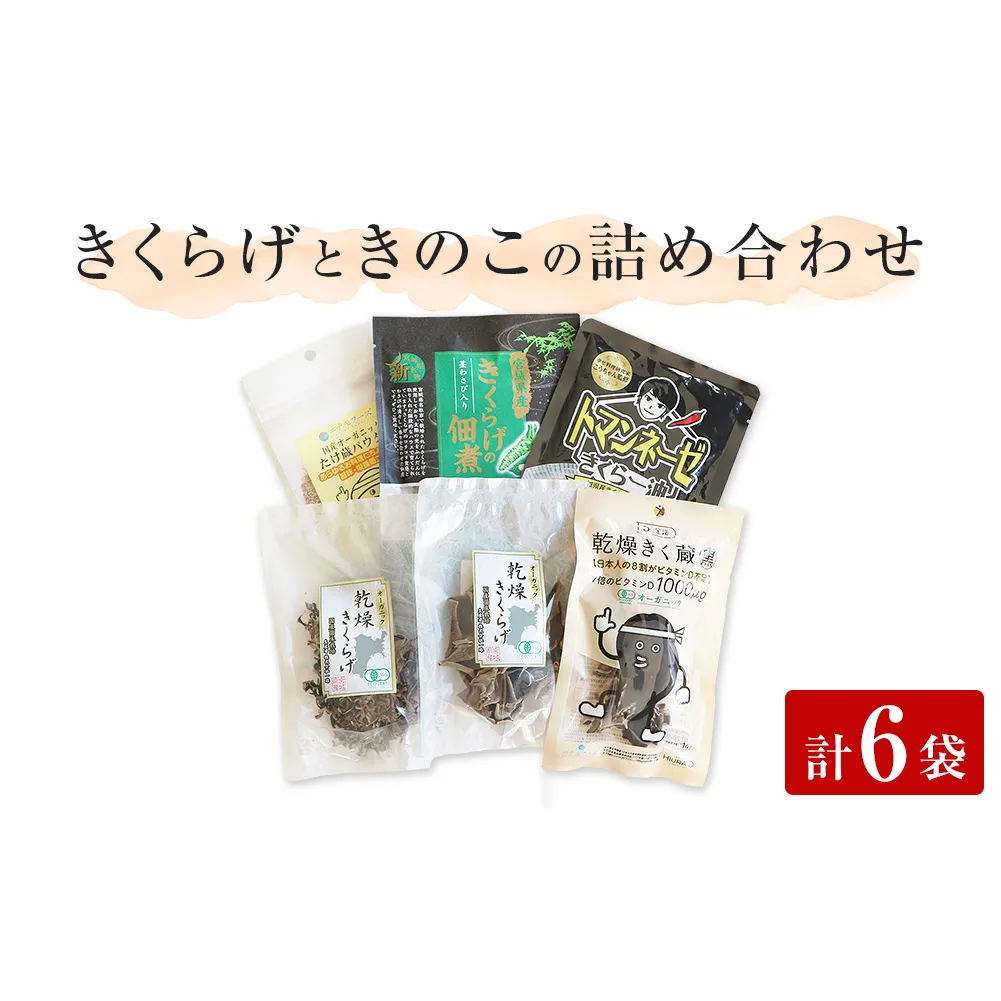 名取市産 きくらげときのこの品詰め合わせセット(1)  6種×各1袋　計6袋セット