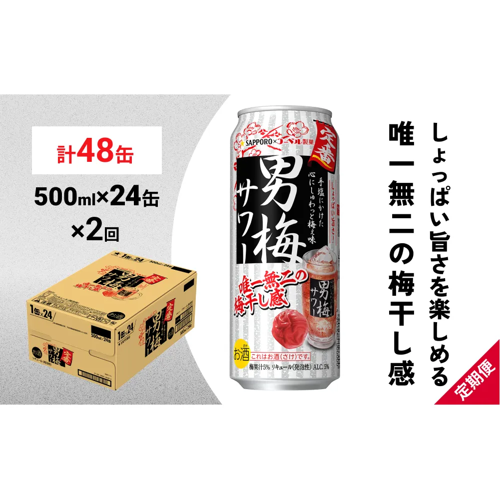 サッポロ 男梅 サワー 500ml×24缶(1ケース)×定期便2回(合計48缶)  缶 チューハイ 酎ハイ サワー