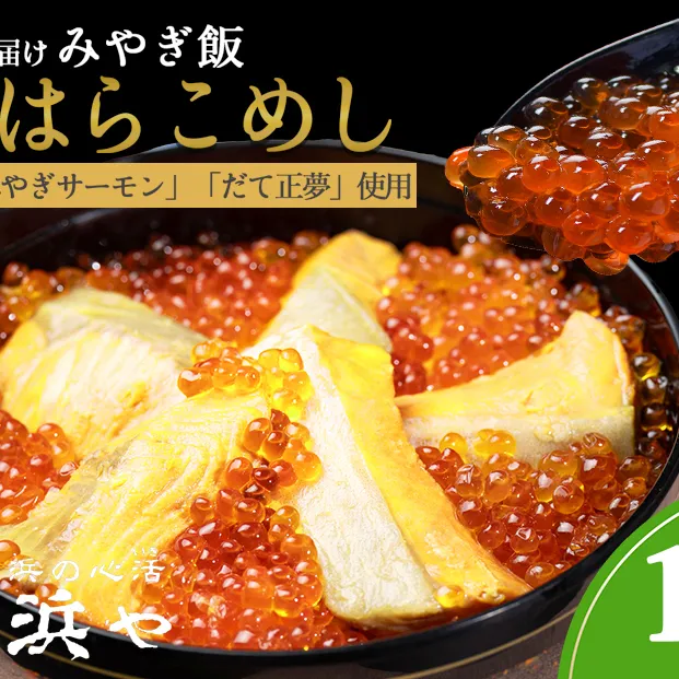 みやぎ飯【先行予約】【宮城さーもん】伊達のはらこ飯　１人前