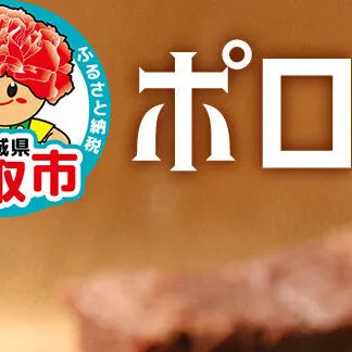 ポロショコラ 185g×1本 ラグノオささき チョコレート お菓子 [ポロショコラ チョコレート チョコ 芳醇 濃厚 ケーキ お菓子 ラグノオささき]