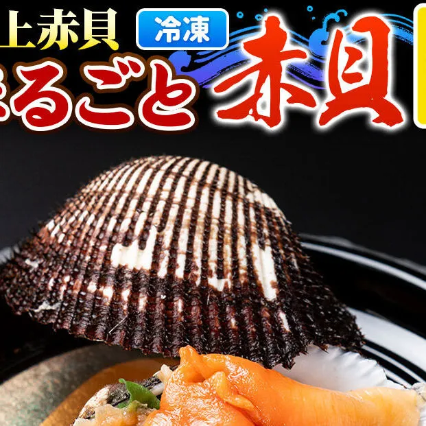 【閖上（ゆりあげ）赤貝】まるごと赤貝 6個入り お刺身 貝紐のお刺身 赤貝の肝 酒蒸し 漁亭 浜や 宮城県 名取市 [赤貝 貝 お刺身 貝紐のお刺身 赤貝の肝 酒蒸し 漁亭 浜や 宮城県 名取市]